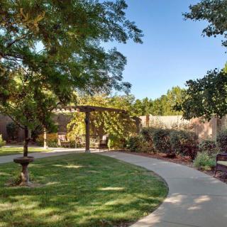 A peaceful garden with a winding pathway, surrounded by lush greenery and a wooden pergola.