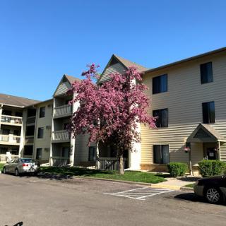 A scenic view of a residential apartment building with blooming trees under a clear blue sky.