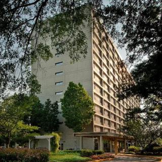 A tall building surrounded by trees with leafy branches framing the view.