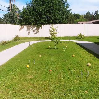 A garden with a pathway and scattered fruits on a sunny day.