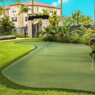 A residential area featuring a well-maintained putting green surrounded by palm trees on a sunny day.