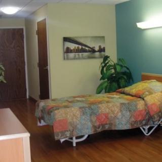 A cozy bedroom with a single bed, decorative plants, and wall art.