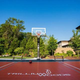 An outdoor basketball court on a sunny day with a hoop and surrounding greenery.