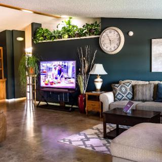A cozy living room with a sofa, television, and decorative plants.