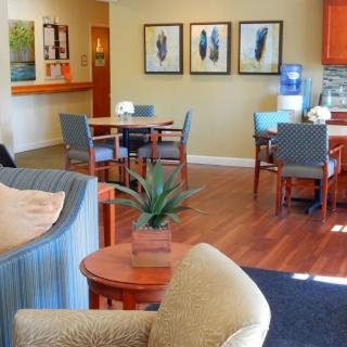 A cozy waiting room with comfortable seating, decorative artwork, and plants on wooden floors.