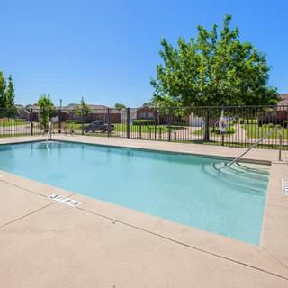 A sunny day by an outdoor swimming pool surrounded by a patio and fence, with trees and a clear blue sky in the background.