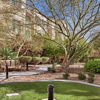 A serene garden area with lush greenery and a large tree, set against the backdrop of a building.