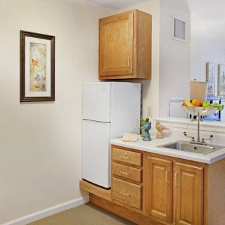 A compact kitchen area with a refrigerator, wooden cabinets, and a sink.