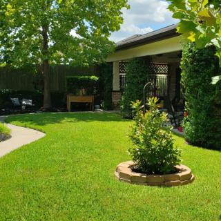 A beautiful garden with lush green lawn and surrounding trees next to a house.