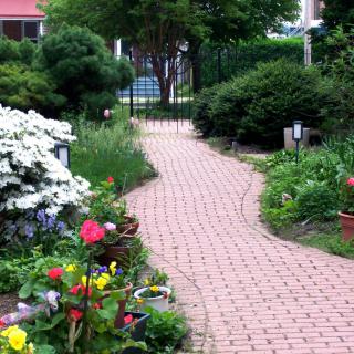 A peaceful garden pathway lined with vibrant flowers and lush greenery.