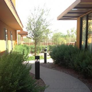 A serene outdoor pathway surrounded by greenery and modern buildings.