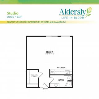Aldersly studio apartment floor plan featuring a combined living area, kitchen, and bathroom.