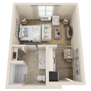 A compact 1-bedroom apartment floor plan with designated living, sleeping, and dining areas.