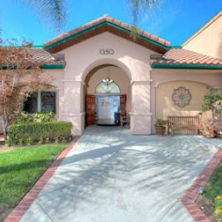 A sunny view of a residential house entrance with a driveway and landscaped garden.
