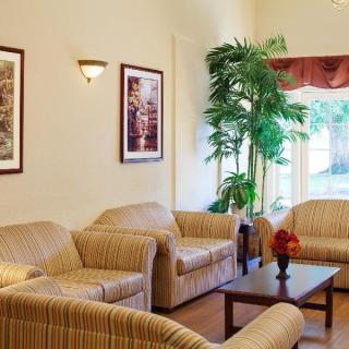 A cozy living room featuring comfortable sofas, a coffee table, wall art, and lush greenery by the window.