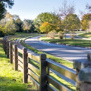 A scenic road winding through a picturesque autumn landscape with trees and a wooden fence.