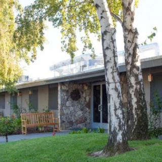 A cozy house with a stone facade and front yard shaded by trees.