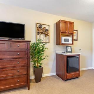 A cozy bedroom corner featuring a dresser with a TV, a microwave and mini fridge unit, and decorative indoor plants.