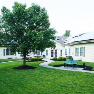 A peaceful garden with a tree, benches, and a pathway surrounded by buildings.