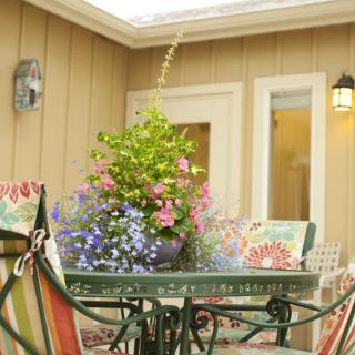 A cozy patio setting with a table and chairs adorned with colorful cushions and a vibrant floral centerpiece.