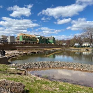 A serene view of a river with green buildings in the background under a partly cloudy sky.