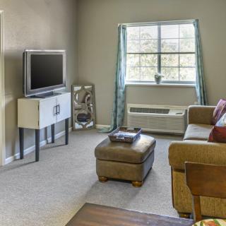 A cozy living room with a sofa, TV, and natural light from the window.
