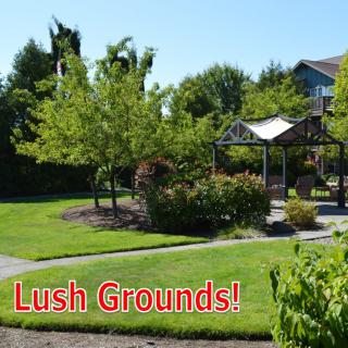 A beautifully landscaped garden with a gazebo and lush greenery.