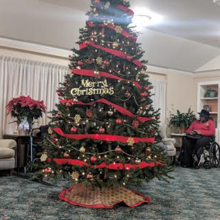 A beautifully decorated Christmas tree brings festive cheer to the room.