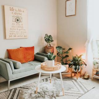 A cozy living room with a comfortable sofa, lush plants, and stylish decor.