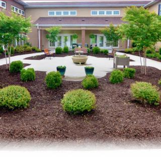 A beautifully landscaped garden with bushes and a central patio area.