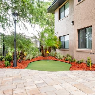 A well-maintained patio area with artificial turf and lush landscaping, featuring palm trees and a modern house exterior.