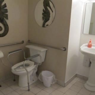 An accessible bathroom with handrails and a raised toilet seat.