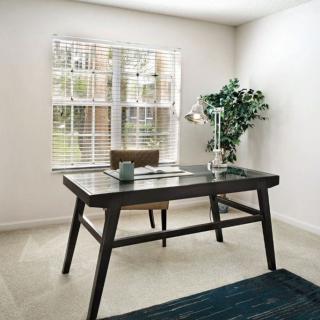 A minimalist home office with a modern desk, chair, and a green plant by the window.