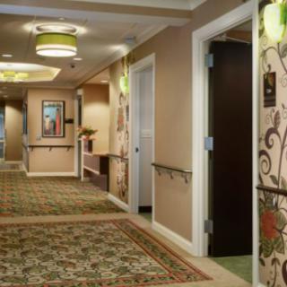 A hotel hallway with decorative carpeting and wall designs.