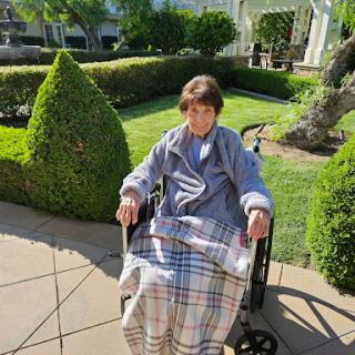 A senior individual enjoying a sunny day in the garden, wrapped in a blanket and seated in a wheelchair.