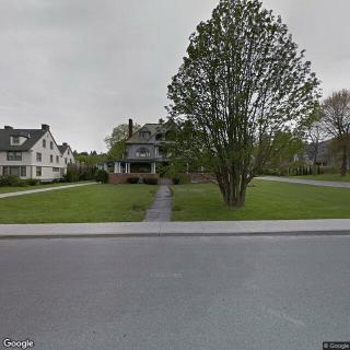 Washington Elms