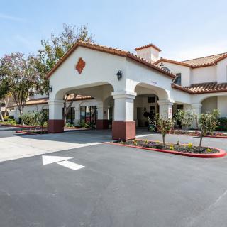 Aegis of Ventura