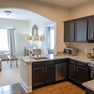 A modern kitchen with dark cabinets opens into a living room, featuring stylish home decor and appliances.