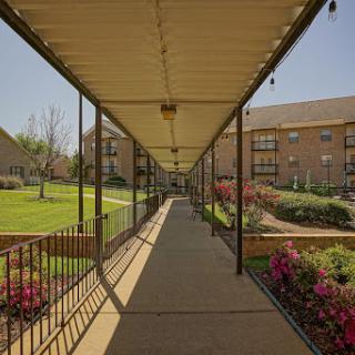 A sunny walkway lined with flowers leading to an apartment complex.