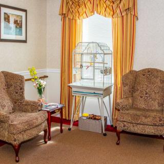 A cozy living room with two armchairs, a bird cage by the window, and elegant curtains.