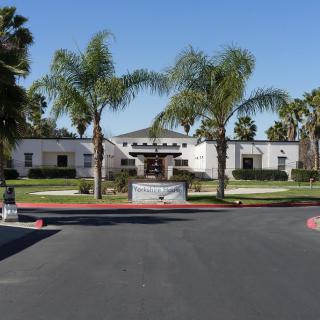 A scenic view of an entrance with a fountain surrounded by palm trees.