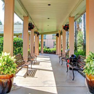 A serene outdoor corridor with benches and decorative plants under a covered walkway.