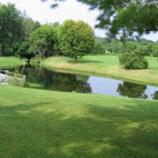 A serene landscape with a pond surrounded by lush green grass and trees.