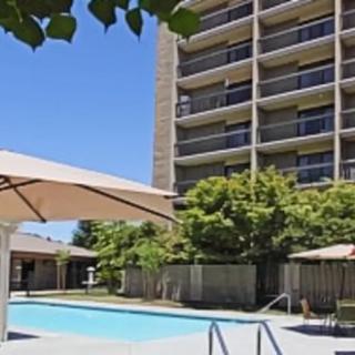 Outdoor swimming pool area with umbrellas and a tall building in the background on a sunny day.