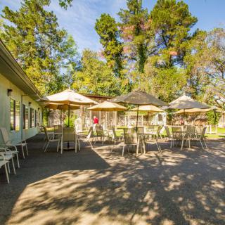 A sunny outdoor cafe patio with tables, chairs, and umbrellas surrounded by lush trees.