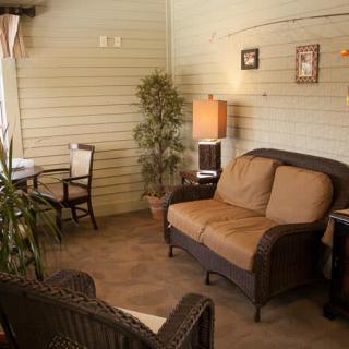 A cozy living room with a sofa, lamp, table and chairs, adorned with an indoor plant and wall decor.
