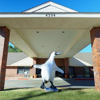 A penguin statue stands at the entrance of a building with a large awning on a sunny day.