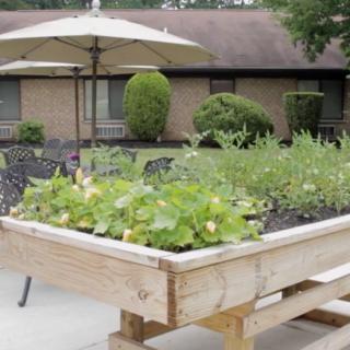 A raised garden bed filled with plants on a patio, surrounded by outdoor furniture.