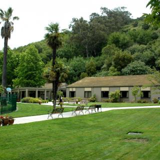 A serene view of a building surrounded by lush greenery and palm trees.