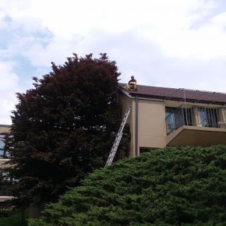 A person on a ladder works on the roof of a building surrounded by trees.